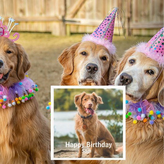 Serviette En Papier Dog Photo Personalized Birthday Cocktail