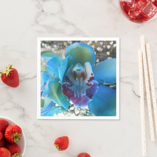 Serviette En Papier Donella (En situation)