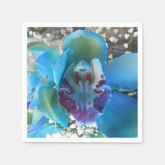 Serviette En Papier Donella (Devant)