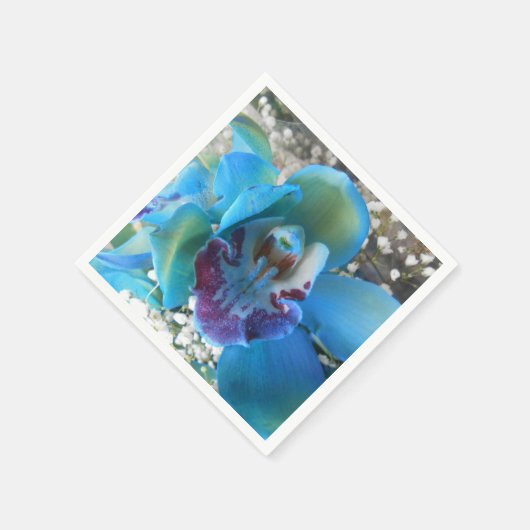 Serviette En Papier Donella (Coin)