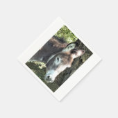 SERVIETTE EN PAPIER DONKEY (Coin)