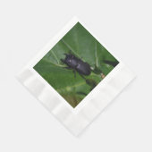 Serviette En Papier Dorcus parallelipipedus, le moindre dendroctone du (Coin)
