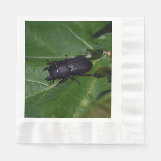 Serviette En Papier Dorcus parallelipipedus, le moindre dendroctone du (Devant)
