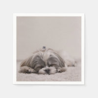 Dormir Shih tzu Cocktail serviettes, chien couchan