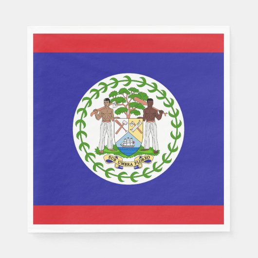 Serviette En Papier Drapeau bélizien (Devant)