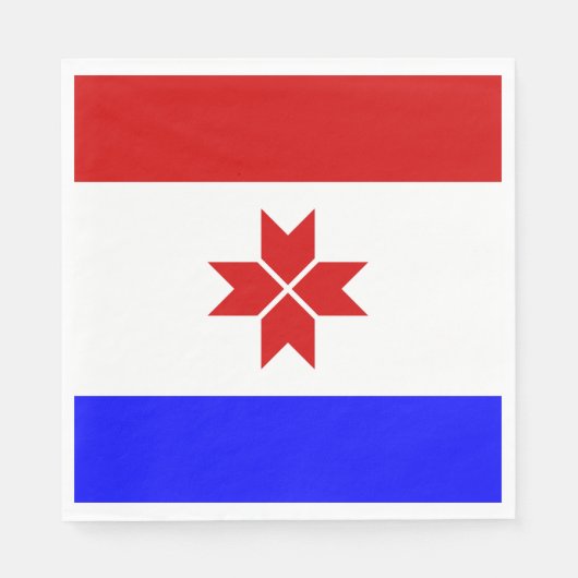 Serviette En Papier Drapeau de la Mordovie (Devant)
