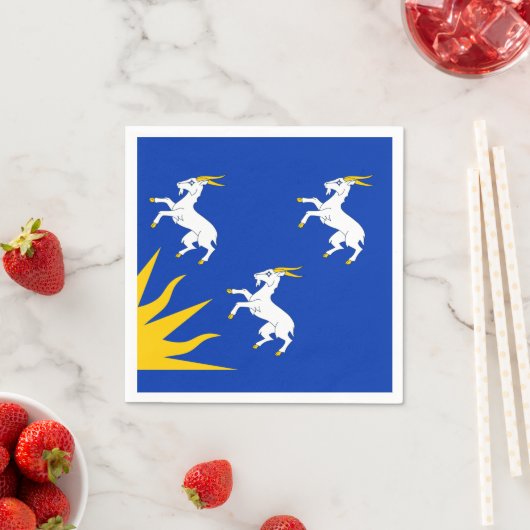 Serviette En Papier Drapeau de Merionethshire Papier serviettes (En situation)