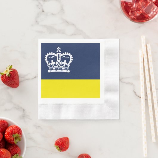 Serviette En Papier Drapeau de Regina (Saskatchewan) (En situation)