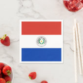 Serviette En Papier Drapeau du Paraguayan (En situation)