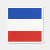 Serviette En Papier Drapeau Schleswig-Holstein Papier Napkins (Devant)