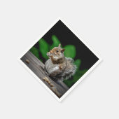 Serviette En Papier Écureuil aux cacahuètes (Coin)