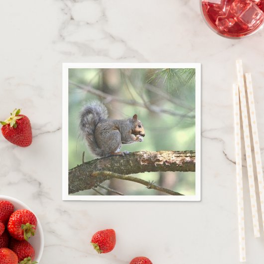 Serviette En Papier Écureuil Manger Papier de déjeuner Napkin (En situation)