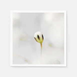 Serviette en papier élégant bourgeon de fleur blan