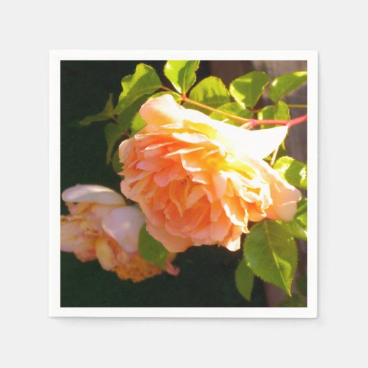 Serviette En Papier Elégant classique pêche orange rose floral (Devant)