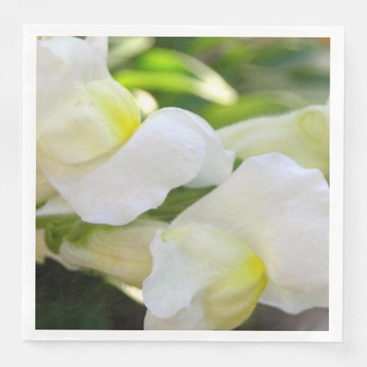 Serviette En Papier Élégant en blanc (Devant)