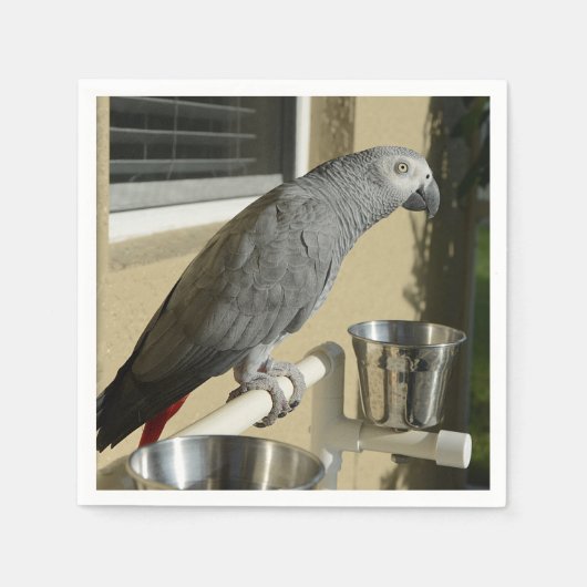 Serviette En Papier Élégant perroquet gris africain du Congo sur pied (Devant)