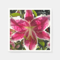 Élégante fleur rose tropicale classique lys