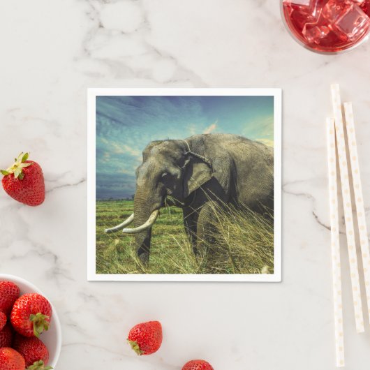 Serviette En Papier Eléphant (En situation)