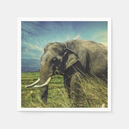 Serviette En Papier Eléphant (Devant)