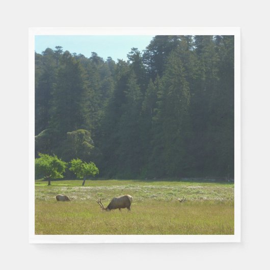 Serviette En Papier Elk Meadow at Redwood National Park (Devant)