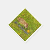Serviette En Papier Embrassez un groundhog aujourd'hui. Obtenez les (Coin)