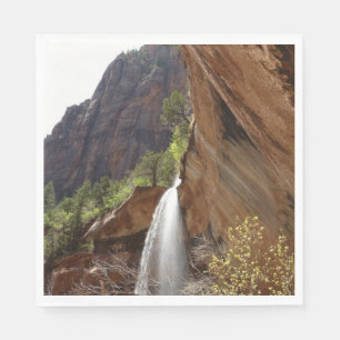 Serviette En Papier Emerald Pool Falls III du Parc national de Zion