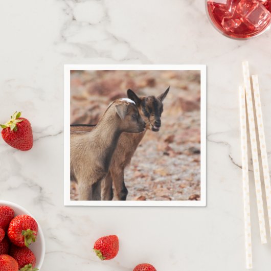 Serviette En Papier Enfants de chèvre (En situation)