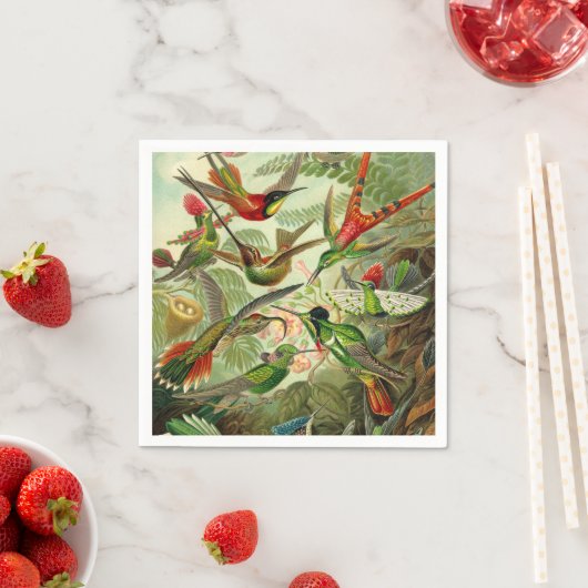 Serviette En Papier Ernst Haeckel Trochilidae (En situation)