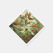 Serviette En Papier Ernst Haeckel Trochilidae (Coin)