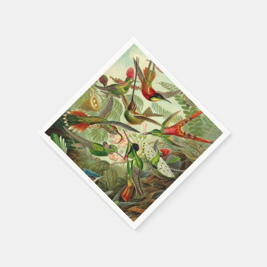 Serviette En Papier Ernst Haeckel Trochilidae (Coin)