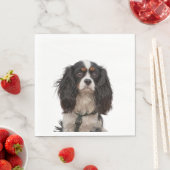 SERVIETTE EN PAPIER ESPAGNE 1A (En situation)