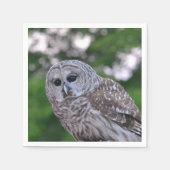 Serviette En Papier Esprit Du Chou (Devant)