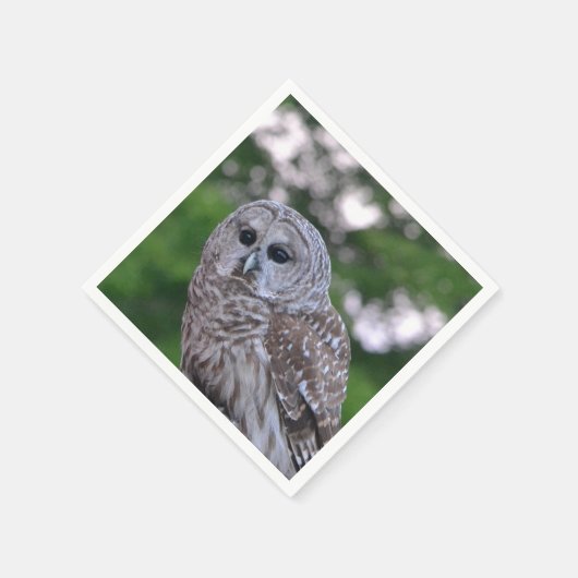 Serviette En Papier Esprit Du Chou (Coin)