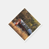 Serviette En Papier Étoile d'automne dans le Maryland central (Coin)