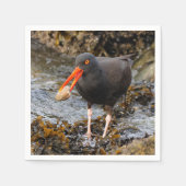 Serviette En Papier Etonnant Oystercatcher noir avec Clam (Devant)