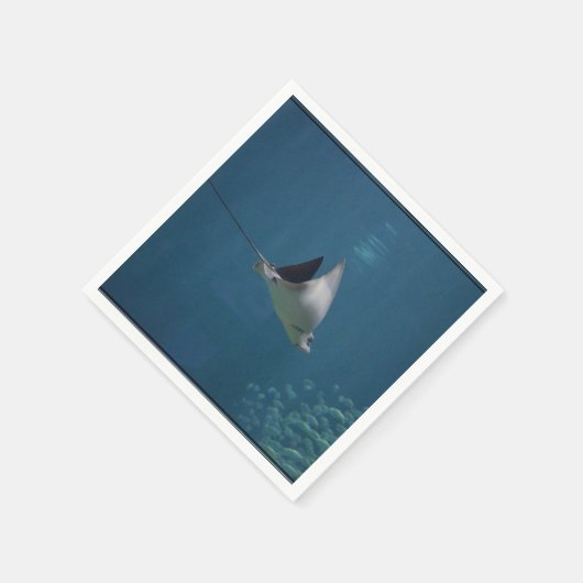 Serviette En Papier Extraordinaire Stingray (Coin)