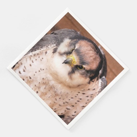 SERVIETTE EN PAPIER FALCON BIRD DE PREY (Coin)