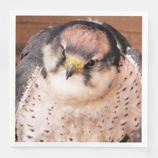 SERVIETTE EN PAPIER FALCON BIRD DE PREY (Devant)