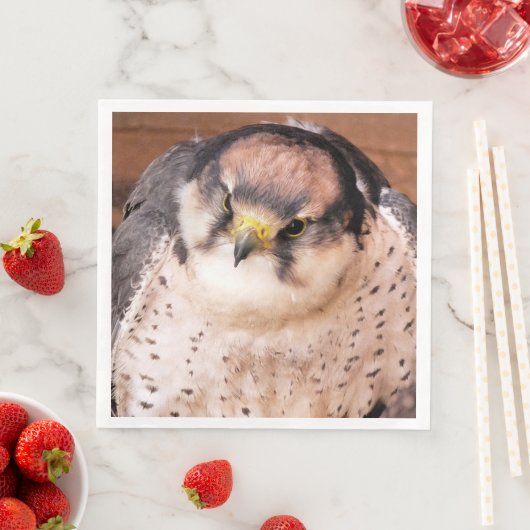 SERVIETTE EN PAPIER FALCON BIRD DE PREY (En situation)
