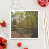 Serviette En Papier Fall Creek à Laurel Hill State Park Pennsylvania (En situation)