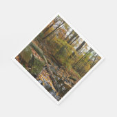Serviette En Papier Fall Creek avec réflexion à Laurel Hill Park (Coin)