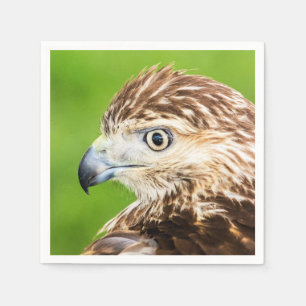 Serviette En Papier Faucon coupé la queue par rouge juvénile