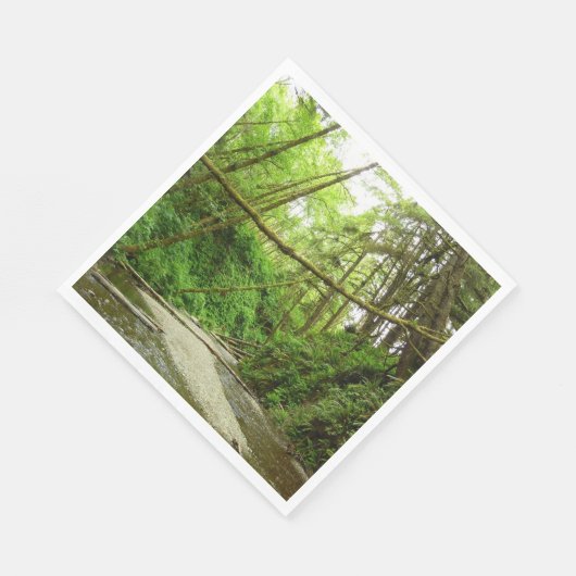 Serviette En Papier Fern Canyon I au Redwood National Park (Coin)