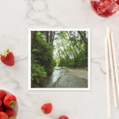 Serviette En Papier Fern Canyon II au parc national Redwood (En situation)