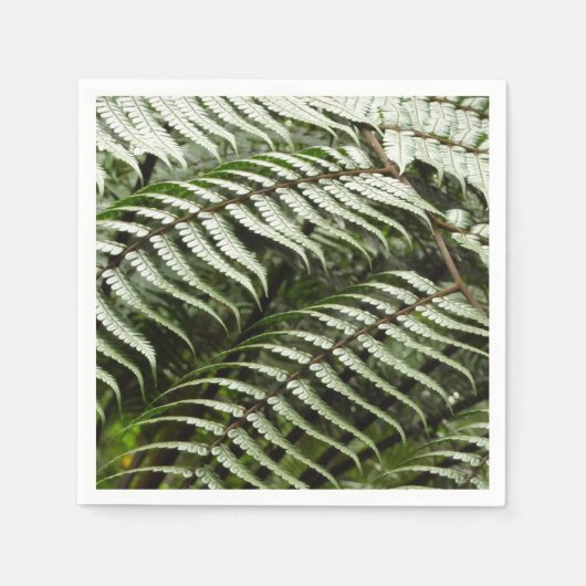 Serviette En Papier Fern Fronds II Dark Green Nature (Devant)