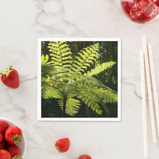 Serviette En Papier Ferne arborescente dans la forêt tropicale (En situation)