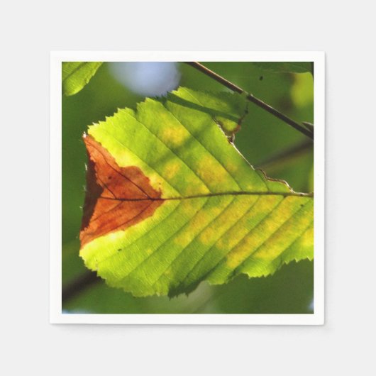 Serviette En Papier Feuille de chute verte (Devant)