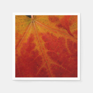 Serviette En Papier Feuille d'érable rouge Abstraite Automne Photograp