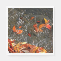 Feuilles d'automne dans la cascade I Photographie