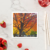 Serviette En Papier Feuilles d'automne de la photo jaune et orange (En situation)